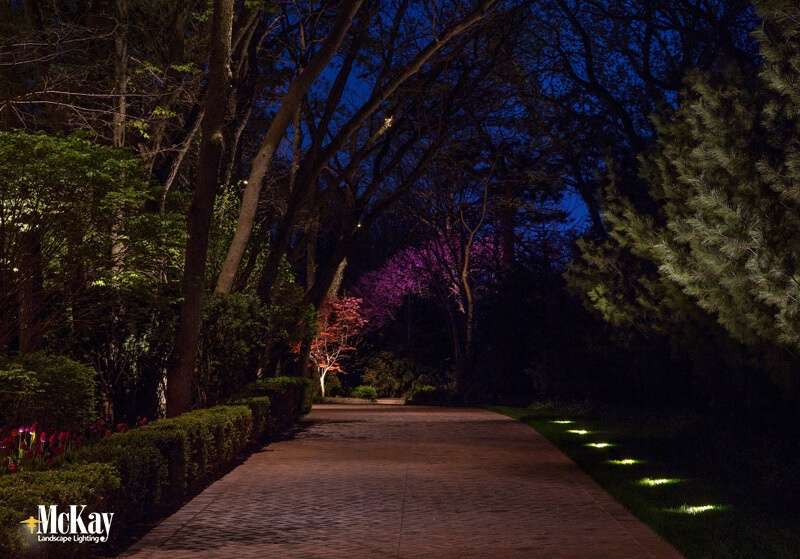 Omaha Driveway Lighting: Uplights and Down Lights