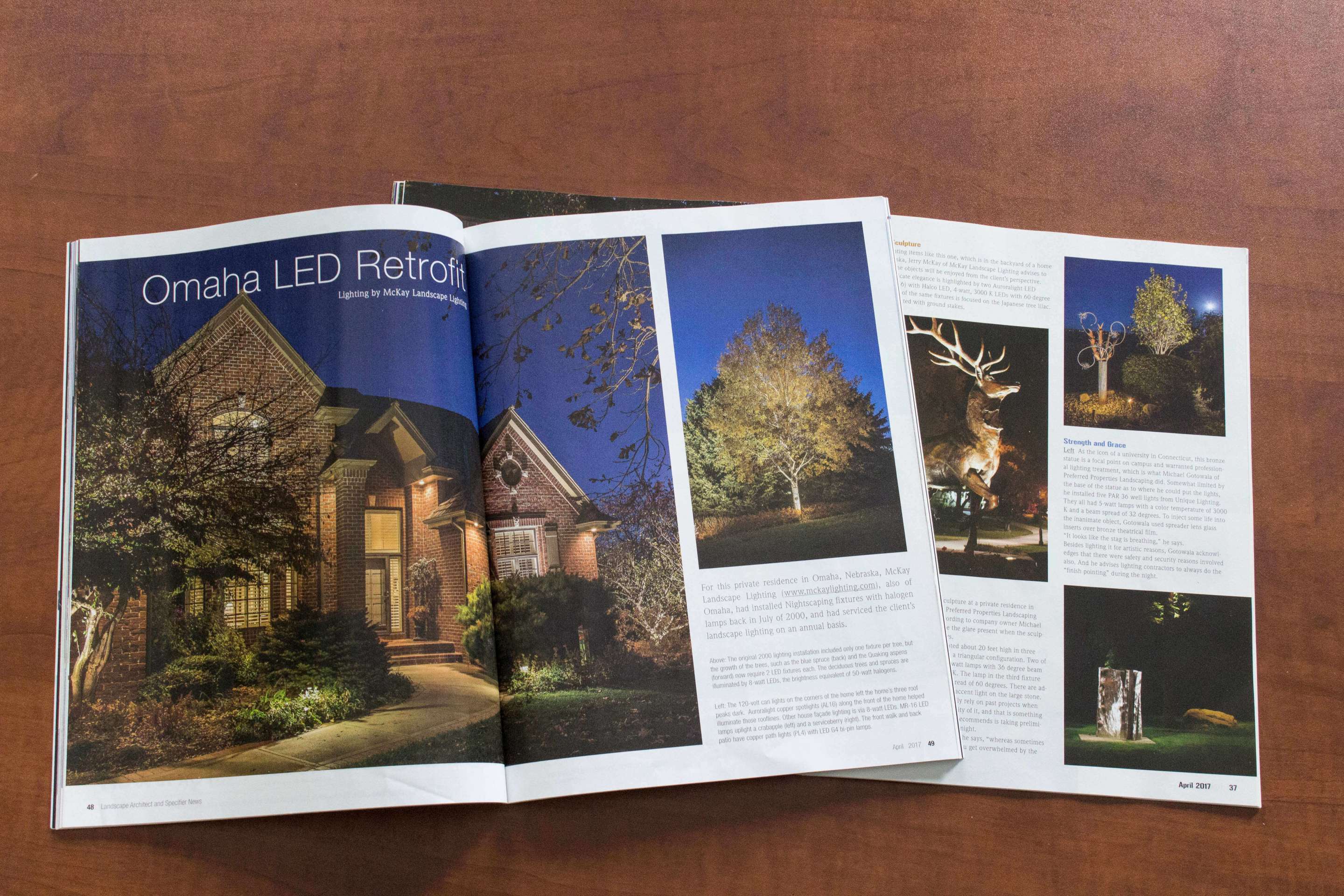 Landscape Architect & Specifier News McKay Landscape Lighting_0163 (2).jpg